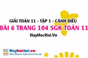 Giải bài 6 trang 104 Toán 11 tập 1 SGK Cánh Diều